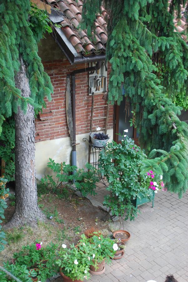 Bed and Breakfast La Curandera Rosta Екстер'єр фото
